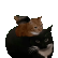 旋转猫咪